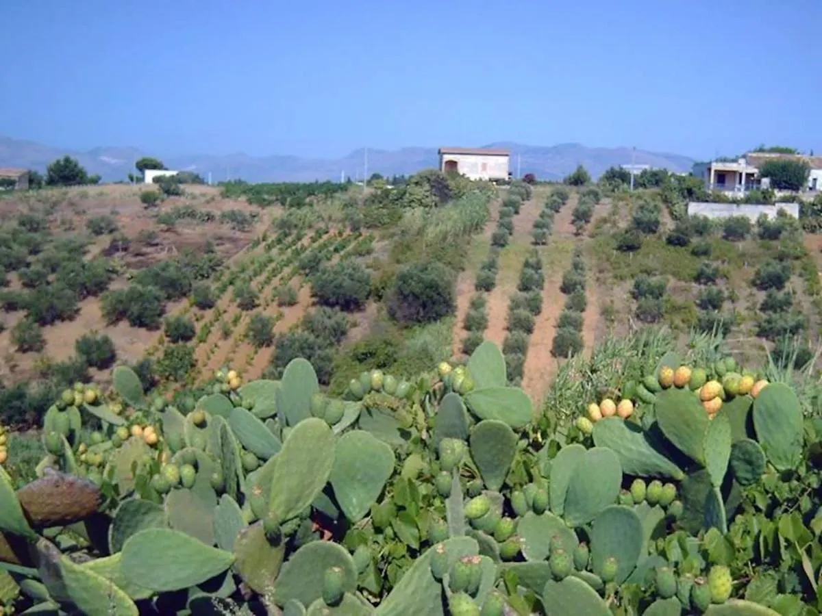 Seaside Retreat: 2-Bedroom Apartment with Wi-Fi in Castellammare del Golfo